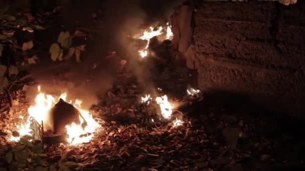 Luftaufnahme Ortung Drohnenaufnahmen Blick Auf Wald Flammen Flächenbrände Die Luftverschmutzung — Stockvideo