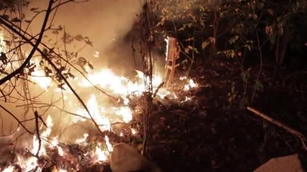 Aerial Rastreamento Drone Shot Com Vista Para Floresta Chamas Incêndios — Vídeo de Stock