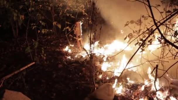 Aereo Tracciamento Drone Shot Che Domina Foresta Fiamme Incendi Che — Video Stock