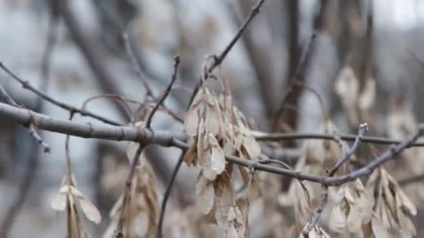 Dronă Filmată Peste Orașul Alep Din Dnipro Ucraina Abandonat Clădirea — Videoclip de stoc