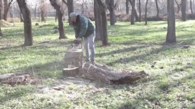 Gönüllü cumartesi işi yapan meraklılar ailesi cumartesi günü parkta çöp topluyor.