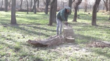 Gönüllü cumartesi işi yapan meraklılar ailesi cumartesi günü parkta çöp topluyor.