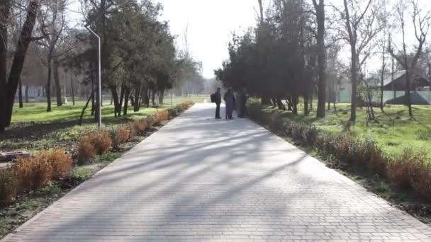 Family Enthusiasts Doing Voluntary Saturday Work Picking Garbage Park Saturday — Stock Video