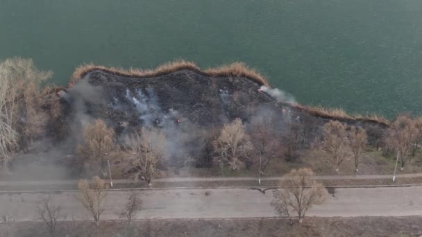 Epicki Widok Lotu Palenia Dzikiego Ognia Duże Chmury Dymne Ogień — Wideo stockowe