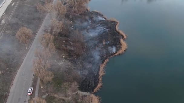 Epische Luftaufnahme Des Rauchenden Waldfeuers Große Rauchwolken Und Feuer Breiteten — Stockvideo
