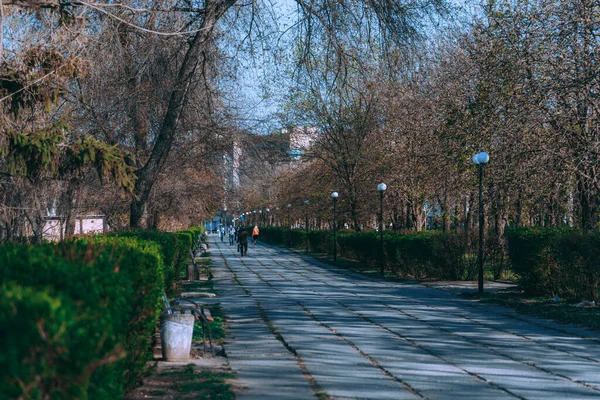 Ukrayna. NickOPOL. Haziran 2017: Ukrayna Şehir Konseyi