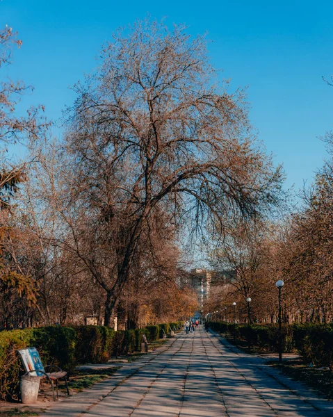 Ukrayna. NickOPOL. Haziran 2017: Ukrayna Şehir Konseyi