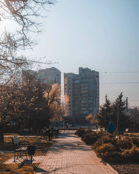 Ukraina Nikopol Czerwiec 2017 Rada Miasta Ukrainy — Zdjęcie stockowe