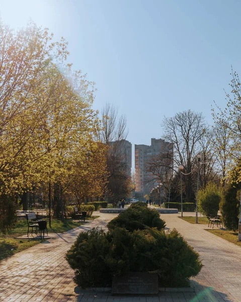 Ukrayna. NickOPOL. Haziran 2017: Ukrayna Şehir Konseyi