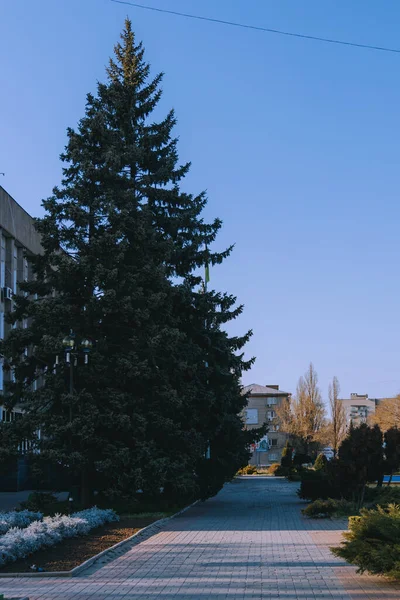 Ukrayna. NickOPOL. Haziran 2017: Ukrayna Şehir Konseyi