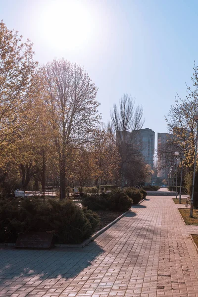 Ukrayna. NickOPOL. Haziran 2017: Ukrayna Şehir Konseyi