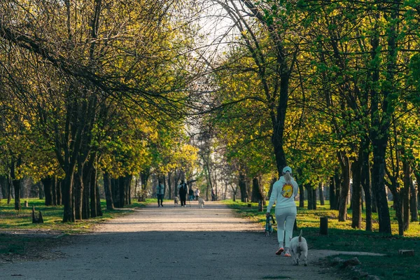Ukrayna. NickOPOL. Haziran 2017: Ukrayna Şehir Konseyi