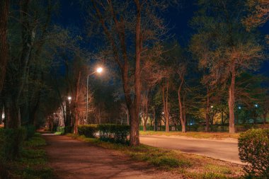 Ukrayna. NickOPOL. Haziran 2017: Ukrayna Şehir Konseyi
