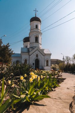 Ukrayna. NickOPOL. Haziran 2017: Ukrayna Şehir Konseyi