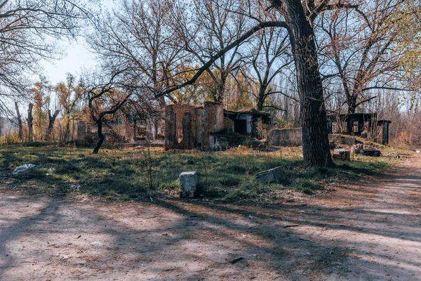 Ukrayna. NickOPOL. Haziran 2017: Ukrayna Şehir Konseyi