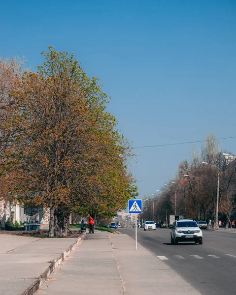 Ukrayna. NickOPOL. Haziran 2017: Ukrayna Şehir Konseyi