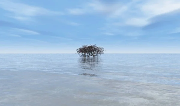 Δέντρο στη μέση του ωκεανού — Φωτογραφία Αρχείου