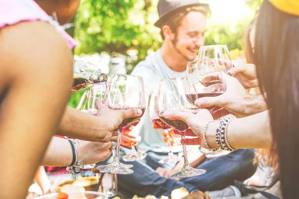 Young happy friends cheering and having fun together in a picnic at backyard - Group of people toasting with red wine glasses - Concept of funny meeting persons - Focus on glasses