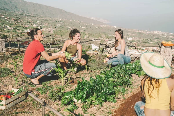 Jovens amigos felizes trabalhando juntos colhendo frutas e legumes frescos em casa de horta agrícola - Agricultura, pessoas, saudável, trabalho e conceito de estilo de vida vegetariano — Fotografia de Stock