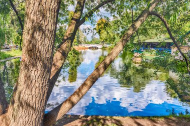 Idillic Gölü içinde Gorki Parkı, Moskova, Rusya Federasyonu