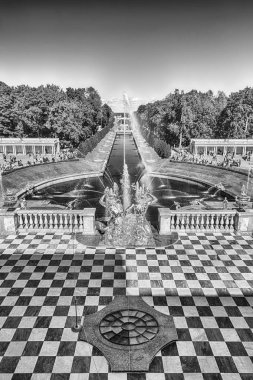 Peterhof Palace, Rusya'nın terasından doğal görünümü