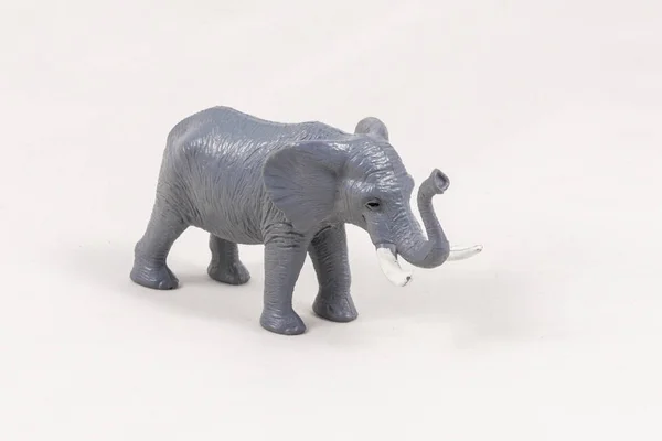 장난감 코끼리 모델 — 스톡 사진
