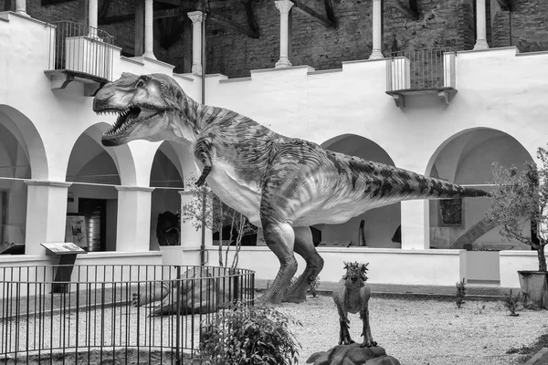 Tyrannosaurus Rex dinosaurio, aka t-rex, en la exposición en Gubbio, Italia — Foto de Stock