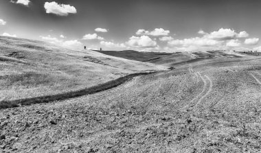 İtalya 'nın Toskana kentindeki kırsal alanların manzarası