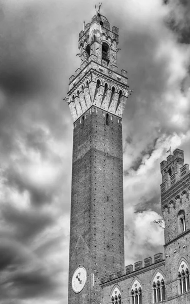 Pohled na Torre del Mangia, ikonickou památku Sieny, Itálie — Stock fotografie