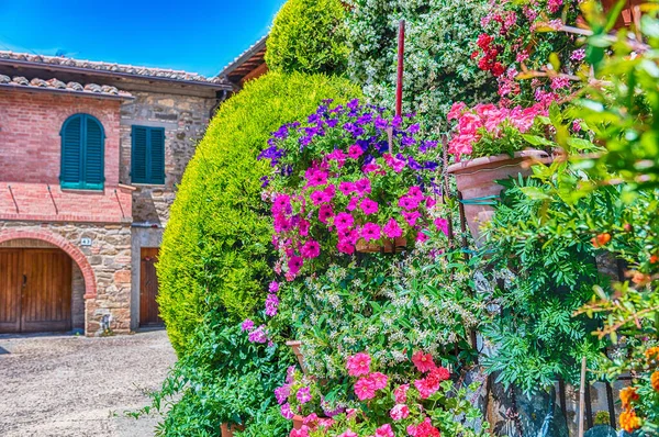 Fiori e piante colorate che decorano edifici a Montalcino — Foto Stock