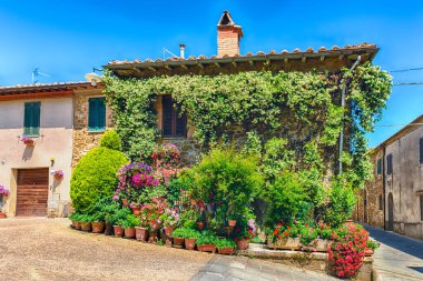 İtalya 'nın Tuscany, Montalcino kasabasında renkli çiçekler ve bitkiler dekore edilir.