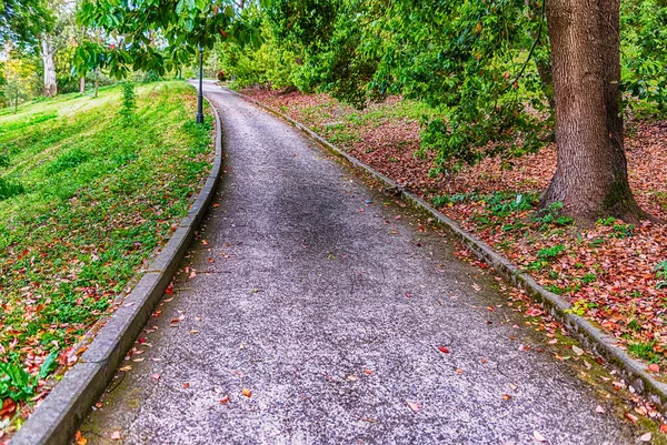 ローマ市内中心部の公共公園内の自然に囲まれた景色の歩道 イタリア — ストック写真