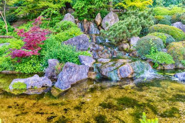 Roma Botanik Bahçesi 'nin içindeki güzel Japon bahçesi, 28 Nisan 2019.