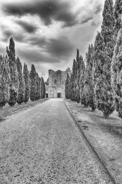 CHIUSDINO, İTALYA - 22 Haziran 2019 'da İtalya' nın Siena kentindeki Chiusdino kasabasındaki San Galgano ikonik Manastırı 'na giden selvi ağaçlarıyla kaplı sahne yolu