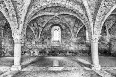 CHIUSDINO, İtalya - 22 Haziran 2019 'da İtalya' nın Siena kentindeki Chiusdino kasabasındaki San Galgano Kilisesi 'nin ikonik çatısız manastırının iç manzarası