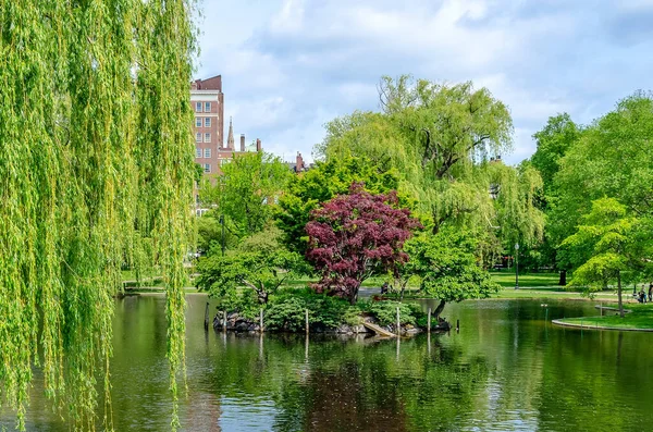 Idilický Pohled Malebné Bostonské Veřejné Zahradě Usa — Stock fotografie