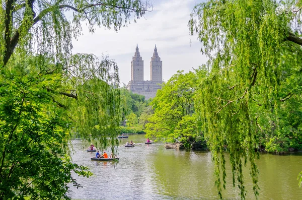 Central Park Een Zonnige Dag Een Mooi Contrast Met Wolkenkrabbers — Stockfoto