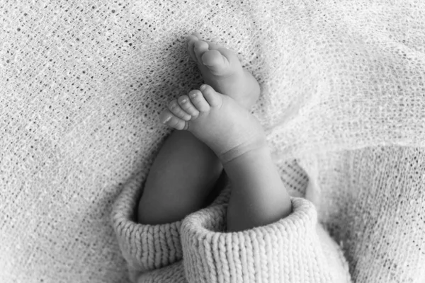 Closeup Newborn Baby Feet Beautiful Selective Focus Concept Maternity Tenderness — Stock Photo, Image