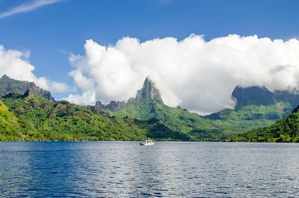 Playa Tropical Moorea Polinesia Francesa Imagen de archivo