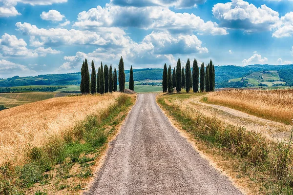 San Quirico Orcia Italia Junio Grupo Icónico Cipreses San Quirico —  Fotos de Stock