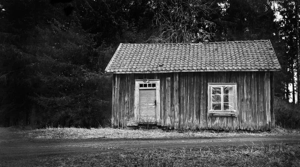 Pusty i opuszczony dom w lesie — Zdjęcie stockowe