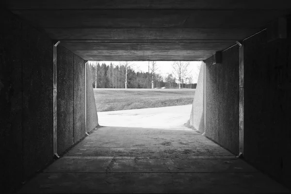 Tunel chodnik/bikeroad z dużą ilością światła wpadającego końcu. Pola i drzewa w tle. Zdjęcie w czarno-białe. Miły głębokości. — Zdjęcie stockowe