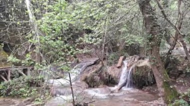 Ormanın derinliklerindeki Turgut Şelalesi 'ne yakın. Güzel küçük turist şelalesi. Bir şelalenin içine düştüğü bir dere. Marmaris, Mugla - Türkiye.