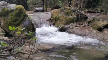 Ormanın derinliklerindeki Turgut Şelalesi 'ne yakın. Güzel küçük turist şelalesi. Bir şelalenin içine düştüğü bir dere. Marmaris, Mugla - Türkiye.