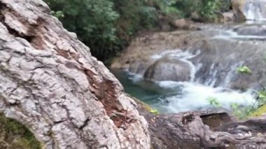 Ormanın derinliklerindeki Turgut Şelalesi 'ne yakın. Güzel küçük turist şelalesi. Bir şelalenin içine düştüğü bir dere. Marmaris, Mugla - Türkiye.