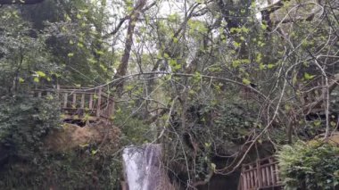 Ormanın derinliklerindeki Turgut Şelalesi 'ne yakın. Güzel küçük turist şelalesi. Bir şelalenin içine düştüğü bir dere. Marmaris, Mugla - Türkiye.