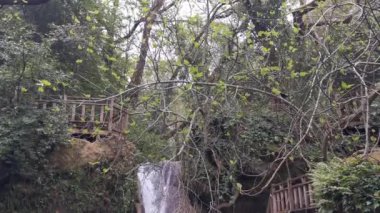 Ormanın derinliklerindeki Turgut Şelalesi 'ne yakın. Güzel küçük turist şelalesi. Bir şelalenin içine düştüğü bir dere. Marmaris, Mugla - Türkiye.