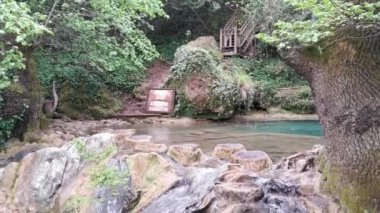 Ormanın derinliklerindeki Turgut Şelalesi 'ne yakın. Güzel küçük turist şelalesi. Bir şelalenin içine düştüğü bir dere. Marmaris, Mugla - Türkiye.