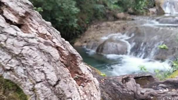 Zblízka Turgutský Vodopád Hlubokém Lese Krásný Malý Turistický Vodopád Potok — Stock video
