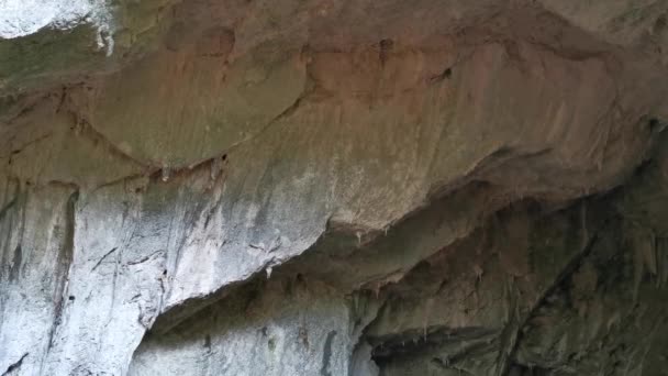 Мармарис Мугла Турция Природа Турции Возле Пещеры Нимара Район Города — стоковое видео